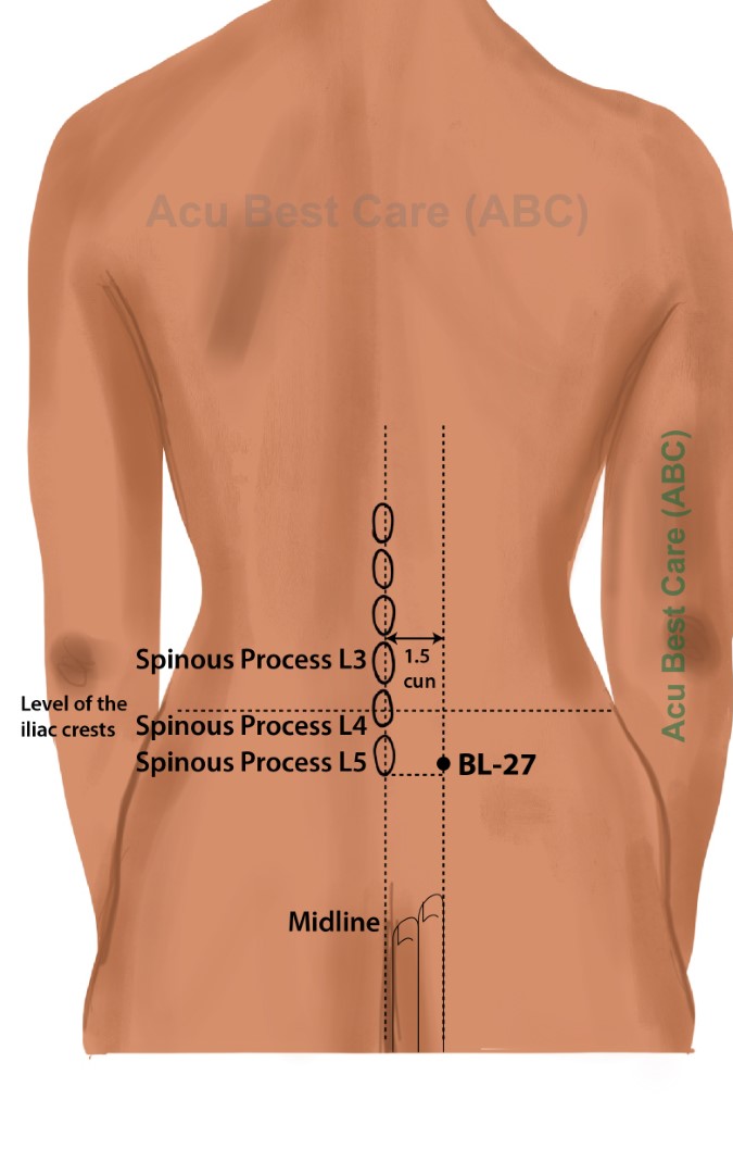 Acubestcare Meridian UB-27 or BL-27